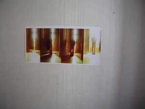 Bromová v Krčínově domě