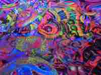 Otto Placht: Dům Pánů z Kunštátu, 5.6.2007