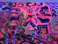 Otto Placht: Dům Pánů z Kunštátu, 5.6.2007