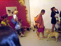 17. srpen 2006, Brno, výstavy