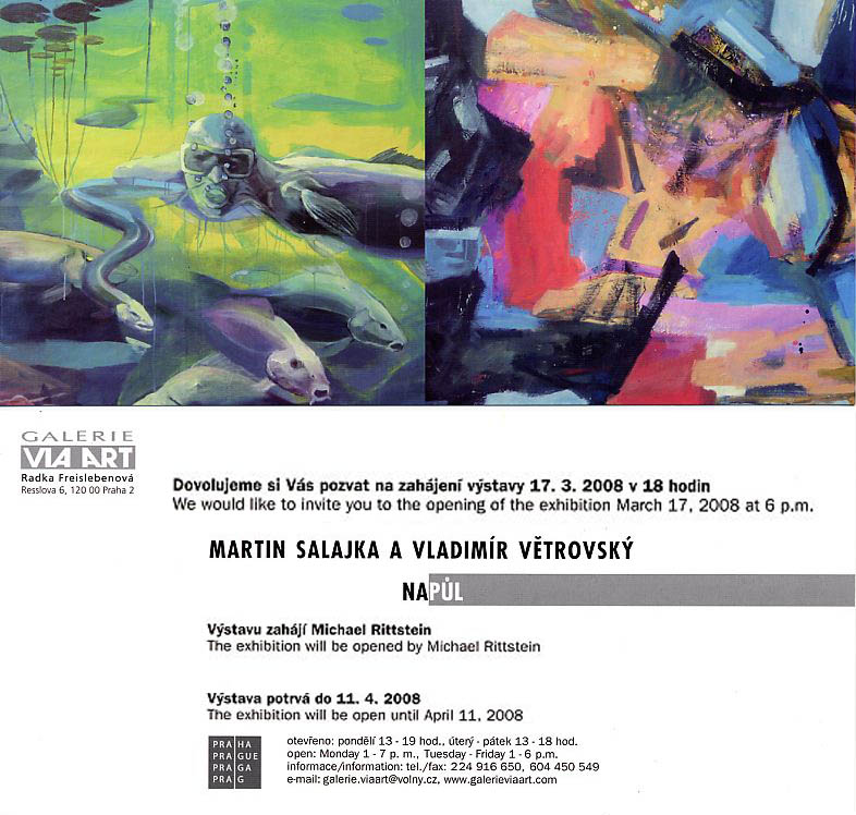 Martin Salajka, Galerie Via Art, Praha, 2008