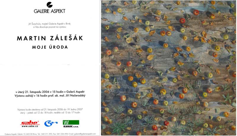 Martin Zálešák, Galerie Aspekt Brno