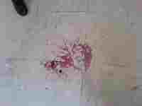 Martin Mainer: Klam tká klam, klid tká klid, Mánes 4.6.2007