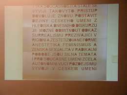 Cena J.Chalupeckého 2004 v Domě Umění