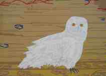 Petr Kožíšek: The Owls and Cages, color sticky tapes