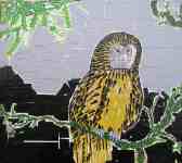 Petr Kožíšek: The Owls and Cages, color sticky tapes