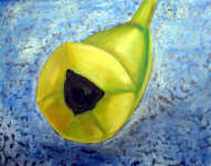 Martina Lupačová Švarcová: The Banana