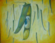 Martina Lupačová Švarcová: The Hulls