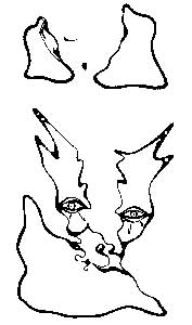 Obrázek z výstavy z 30.6.2005 na Radikále