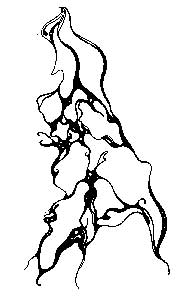 Výstava na Radikále z 30.6.2005: Václav Svoboda